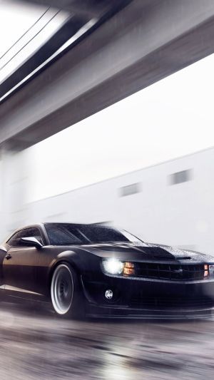 Wallpaper