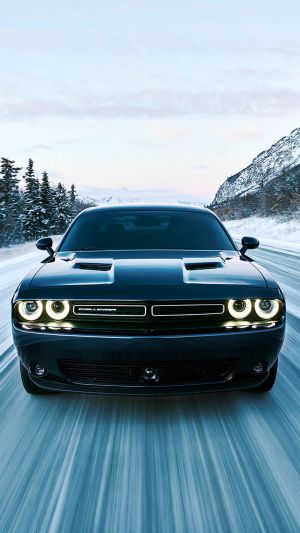Wallpaper