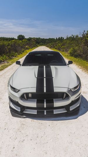 Wallpaper