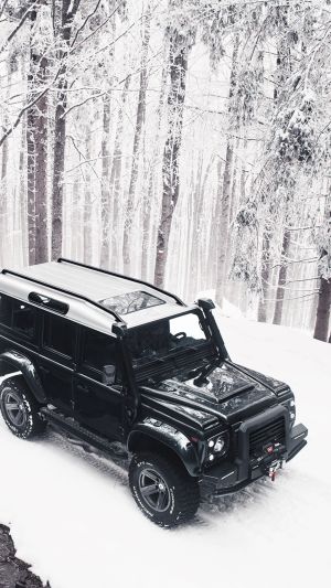 Wallpaper