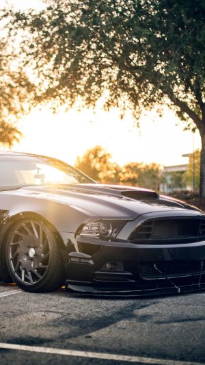 Wallpaper