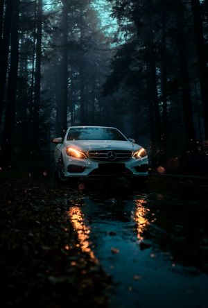 Wallpaper