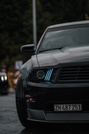Wallpaper