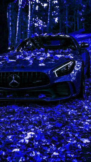 Wallpaper