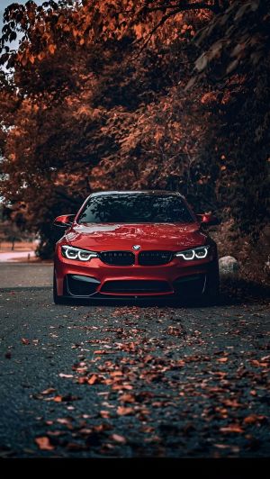 Wallpaper