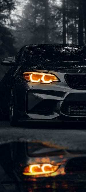 Wallpaper
