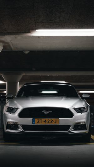 Wallpaper