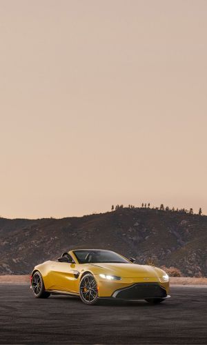 Wallpaper