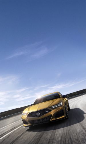 Wallpaper