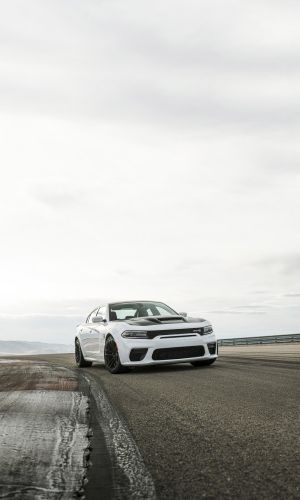 Wallpaper