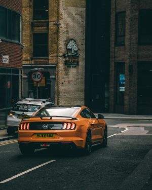 Wallpaper