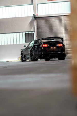 Wallpaper