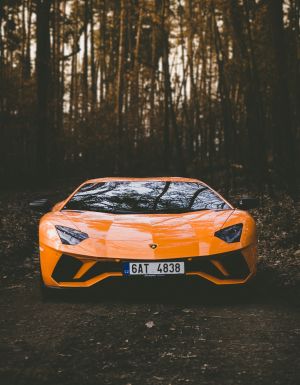 Wallpaper