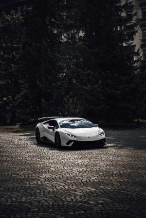 Wallpaper