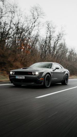 Wallpaper