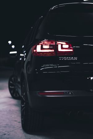 Wallpaper
