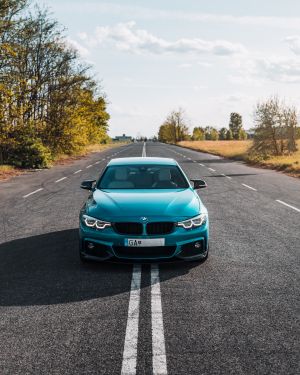 Wallpaper