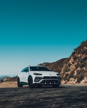 Wallpaper