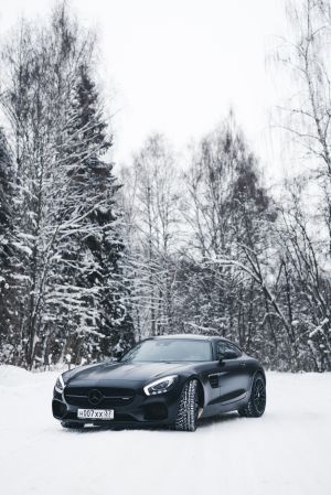 Wallpaper