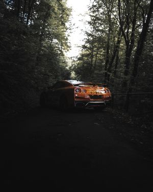 Wallpaper