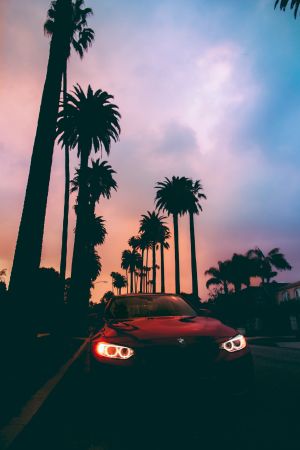 Wallpaper