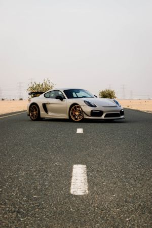 Wallpaper