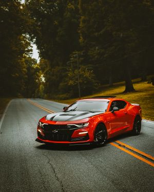 Wallpaper