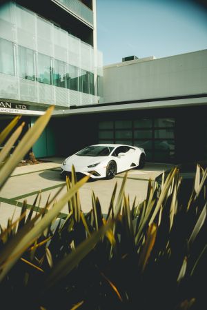 Wallpaper