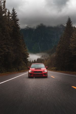 Wallpaper