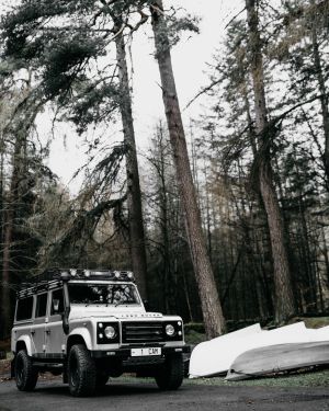 Wallpaper
