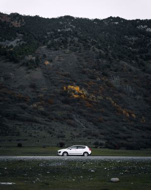 Wallpaper