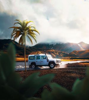 Wallpaper