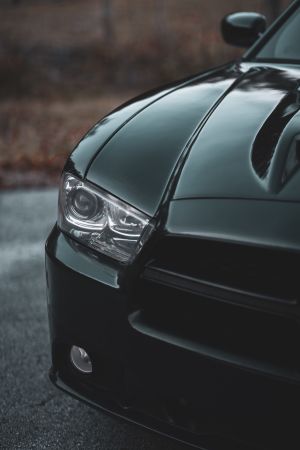Wallpaper