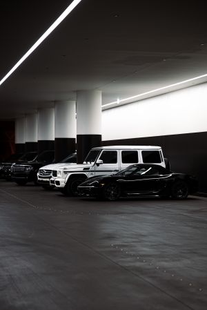 Wallpaper