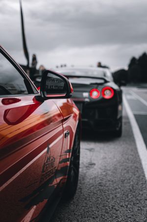 Wallpaper