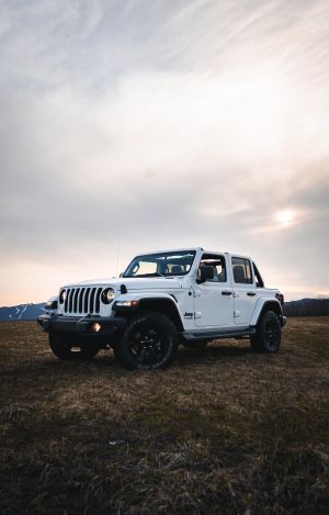 Wallpaper