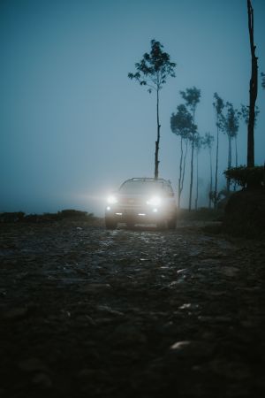 Wallpaper