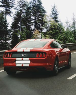 Wallpaper
