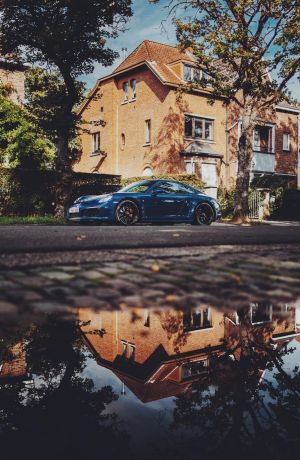 Wallpaper
