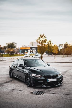 Wallpaper