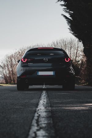 Wallpaper