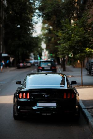 Wallpaper