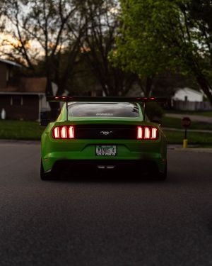 Wallpaper