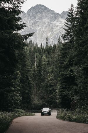 Wallpaper