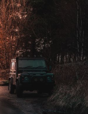 Wallpaper