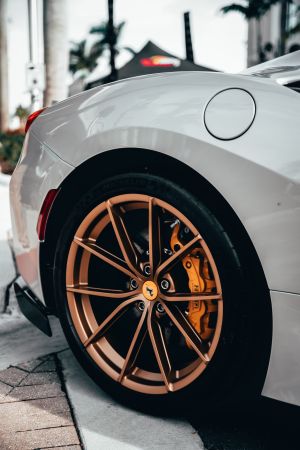 Wallpaper