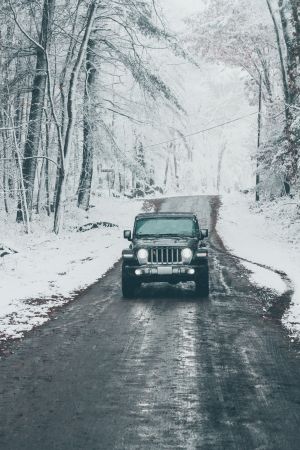 Wallpaper