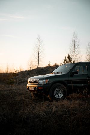 Wallpaper