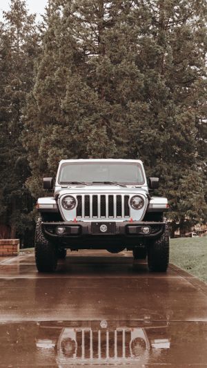 Wallpaper