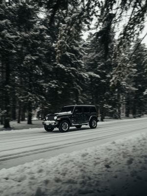 Wallpaper